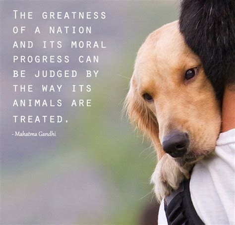 Kindness To Animals Quotes